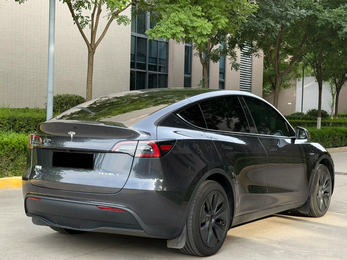 Tesla Model Y 2024 car image #8