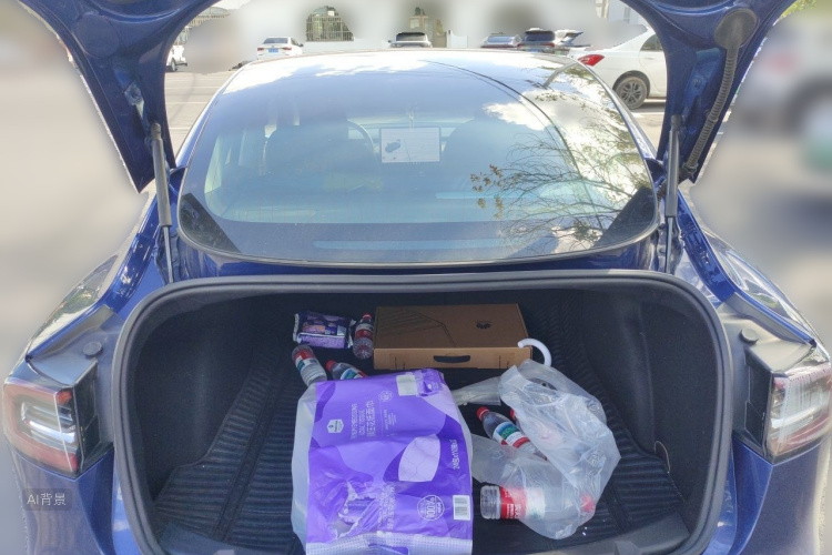 Tesla Model 3 2020 #21 Tesla Model 3 2020 car image #21