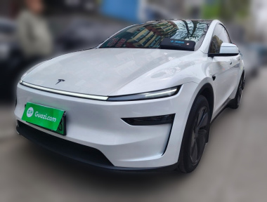 Tesla Model Y 2025 Tesla Model Y 2025 car image
