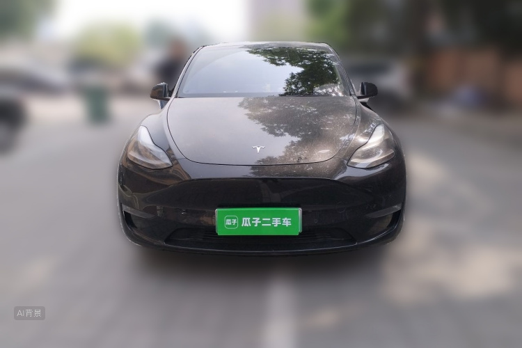 Tesla Model Y 2021 #3 Tesla Model Y 2021 car image #3