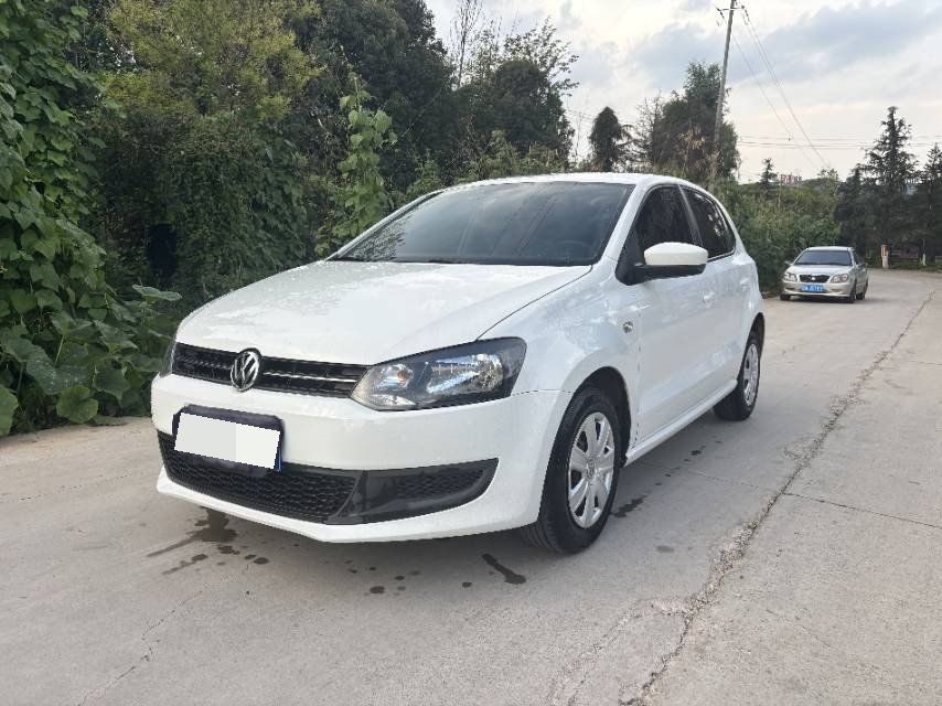 Volkswagen Polo 2013 car image 