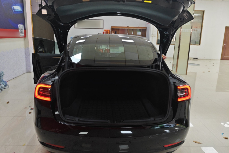 Tesla Model 3 2022 car image #21
