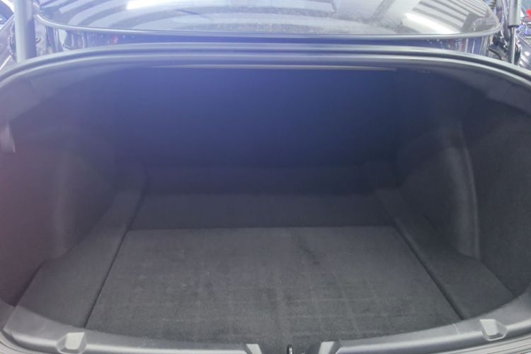 Tesla Model 3 2021 car image #19