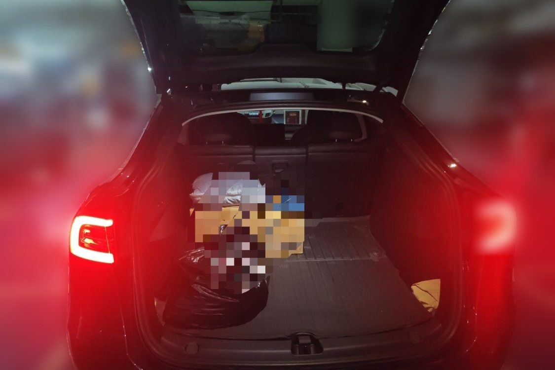 Tesla Model Y 2024 #8 Tesla Model Y 2024 car image #8