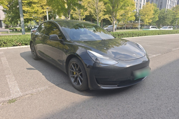 Tesla Model 3 2021 #4 Tesla Model 3 2021 car image #4