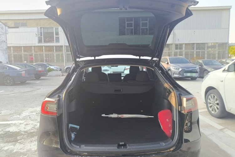 Tesla Model Y 2021 #19 Tesla Model Y 2021 car image #19