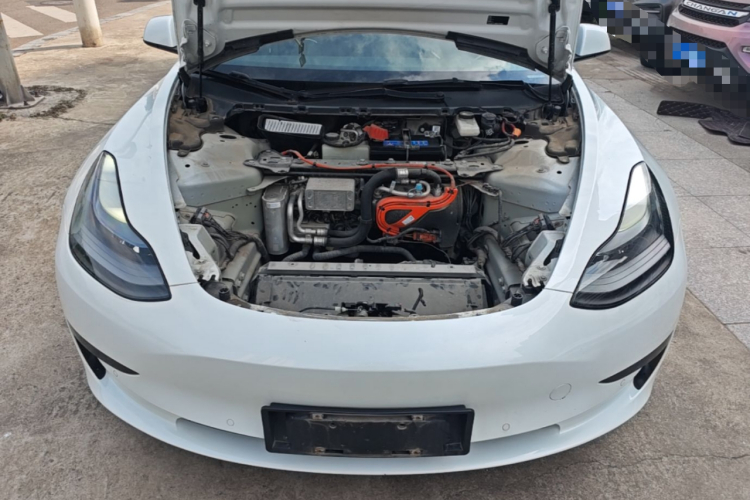 Tesla Model 3 2021 #20 Tesla Model 3 2021 car image #20