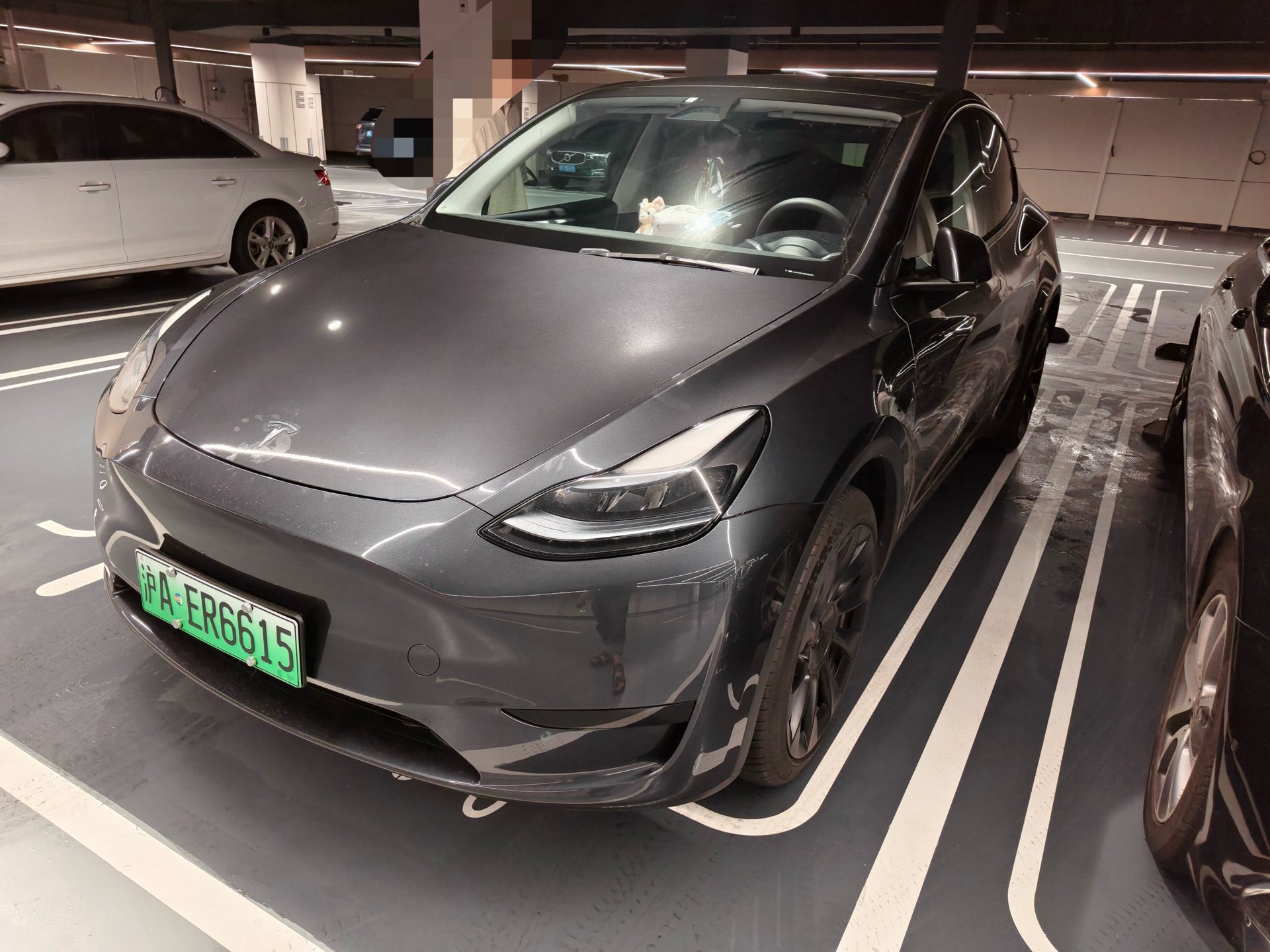Tesla Model Y 2024 car image 