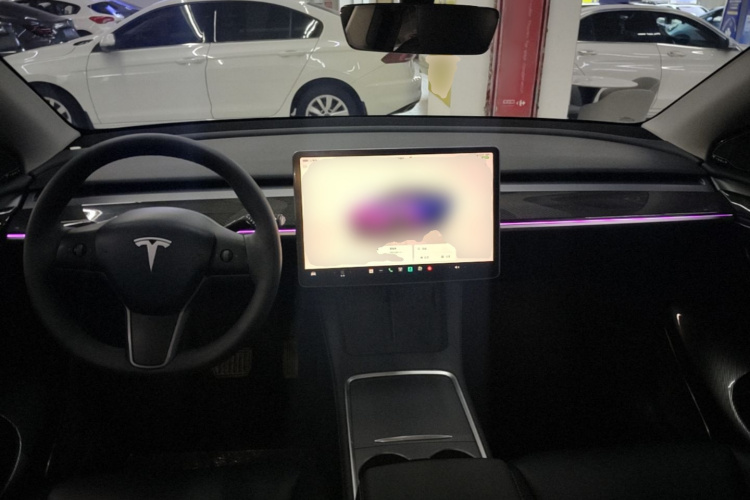 Tesla Model Y 2024 #10 Tesla Model Y 2024 car image #10