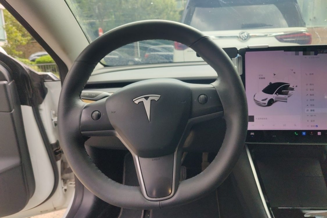 Tesla Model 3 2020 صورة سيارة #22