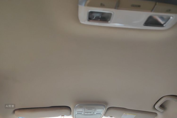 GEELY Emgrand GS 2018 imagen de coche #20