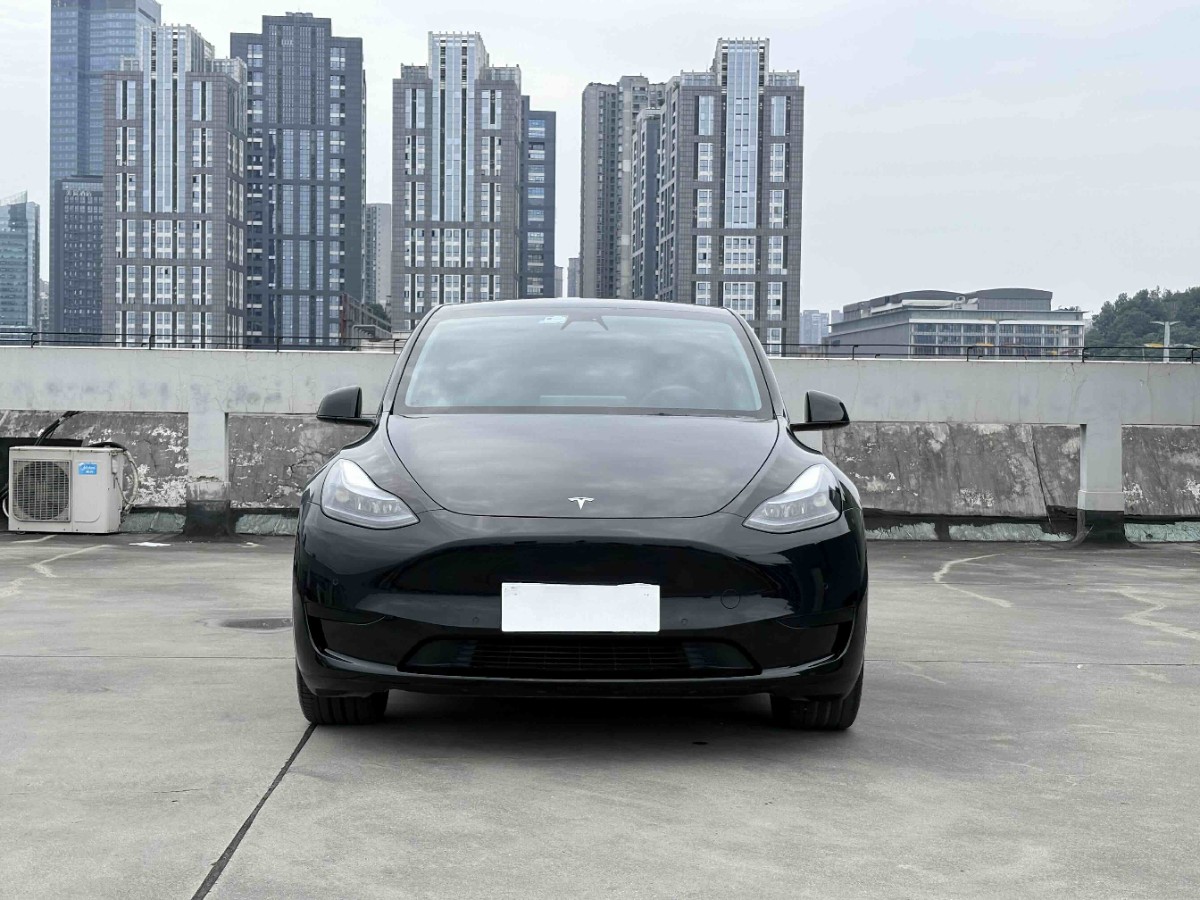 Tesla Model Y 2023 #3 Tesla Model Y 2023 car image #3