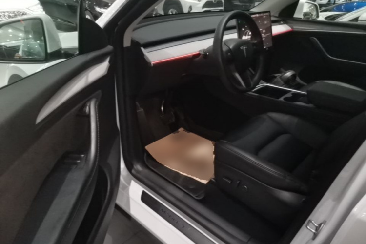 Tesla Model Y 2024 car image #9