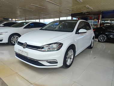 Volkswagen Golf 2020 car image 