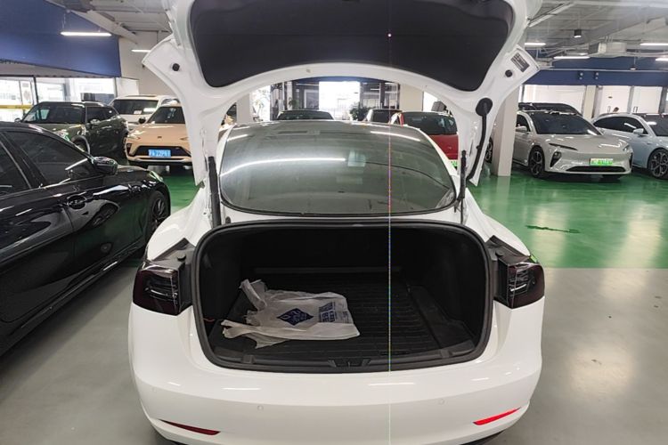 Tesla Model 3 2022 car image #19