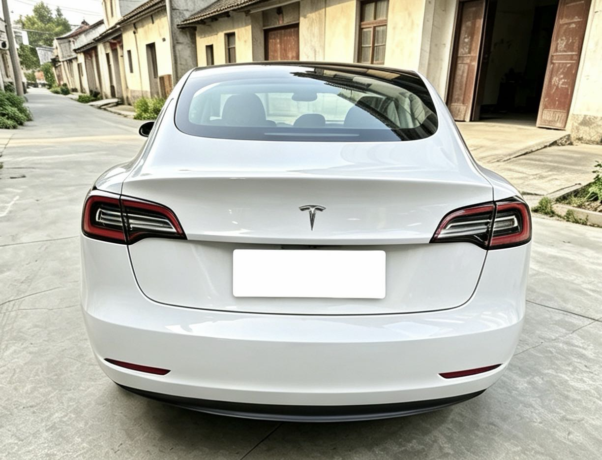 Tesla Model 3 2020 #8 Tesla Model 3 2020 car image #8