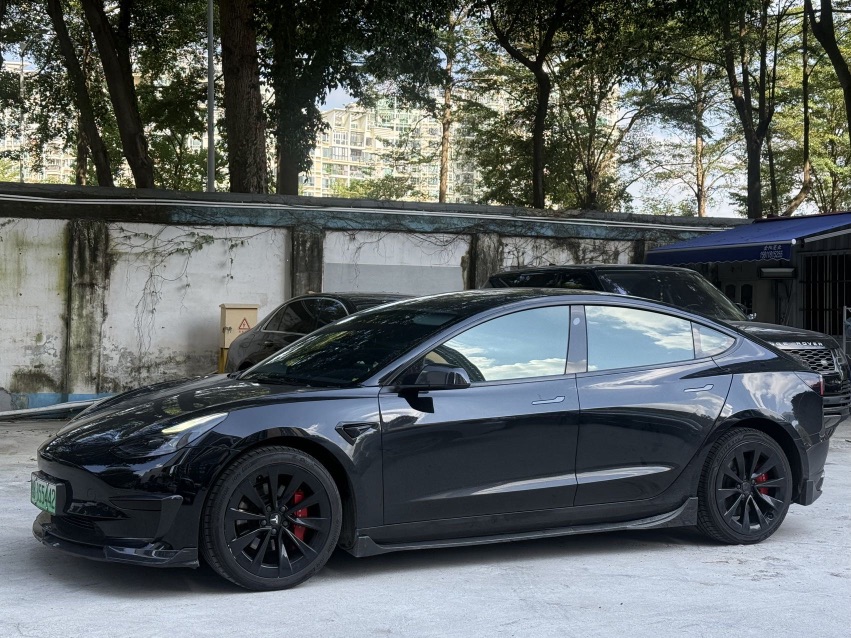 Tesla Model 3 2022 #3 Tesla Model 3 2022 car image #3