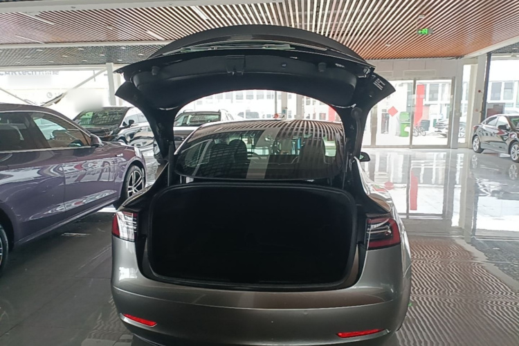 Tesla Model 3 2021 car image #19
