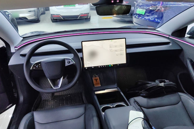 Tesla Model 3 2024 car image #10