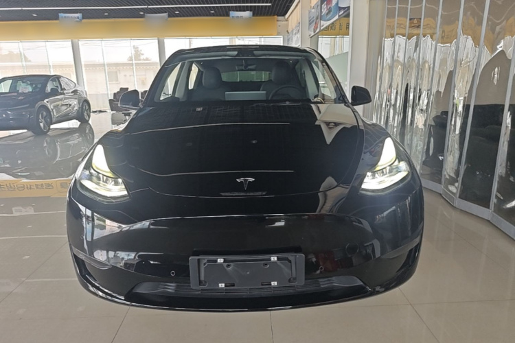 Tesla Model Y 2021 #3 Tesla Model Y 2021 car image #3