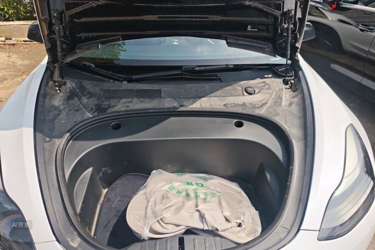 Tesla Model 3 2023 car image #22
