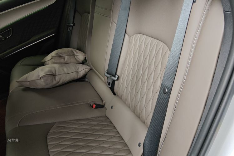 比亚迪 汉 2024 汽车图片 #19