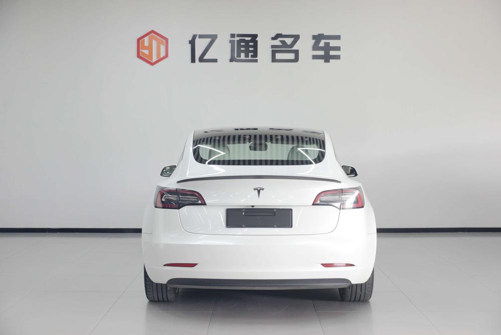 Tesla Model 3 2021 imagem de carro #5
