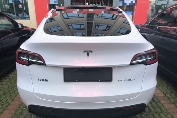 Tesla Model Y 2024 car image #6