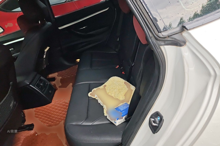 BMW 3 Series GT 2019 #19 BMW 3 Series GT 2019 car image #19