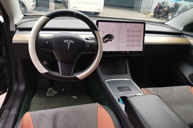Tesla Model 3 2021 immagine di auto #10