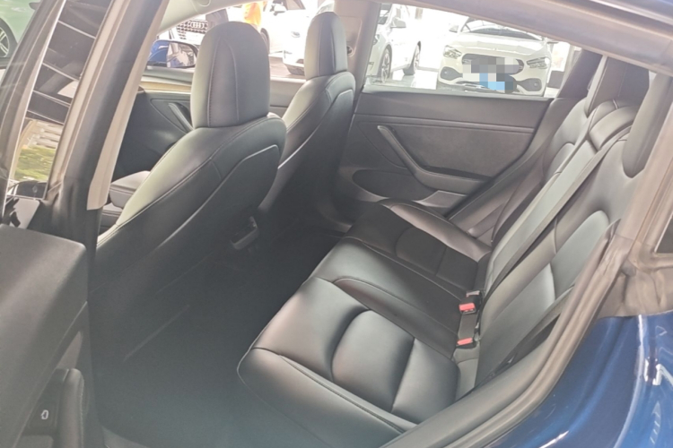 Tesla Model 3 2021 #17 Tesla Model 3 2021 car image #17