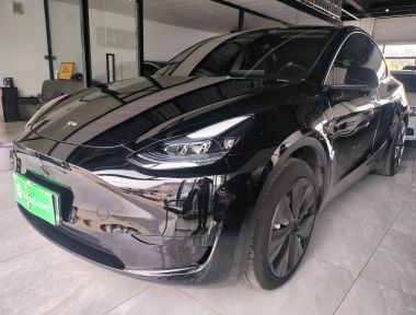 Tesla Model Y 2023 Tesla Model Y 2023 car image