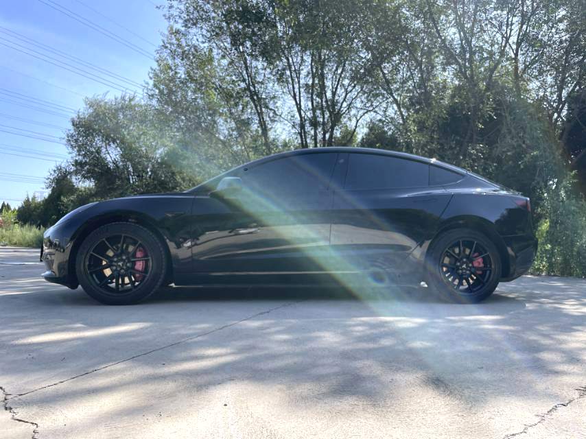 Tesla Model 3 2023 #2 Tesla Model 3 2023 car image #2
