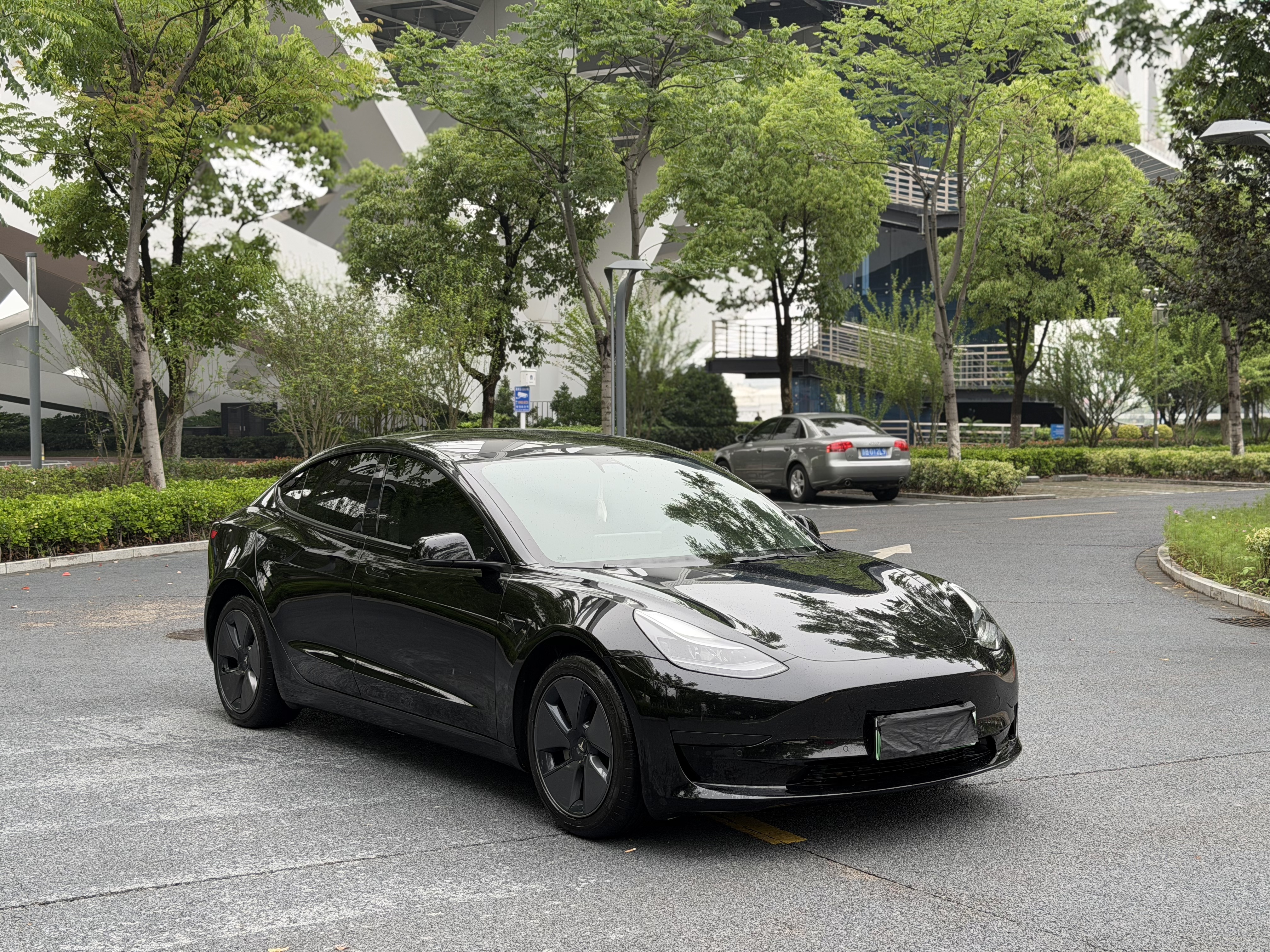 Tesla Model 3 2021 immagine di auto #3