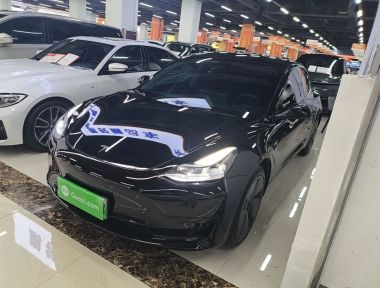 Tesla Model 3 2023 Tesla Model 3 2023 car image