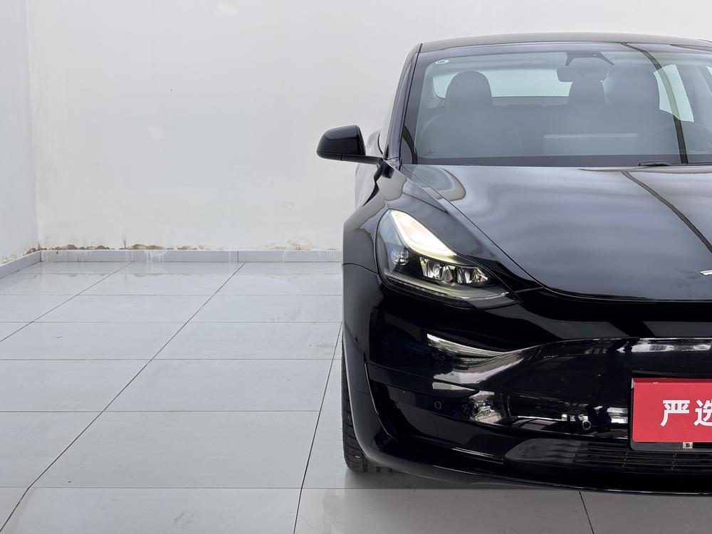 Tesla Model 3 2021 #7 Tesla Model 3 2021 car image #7