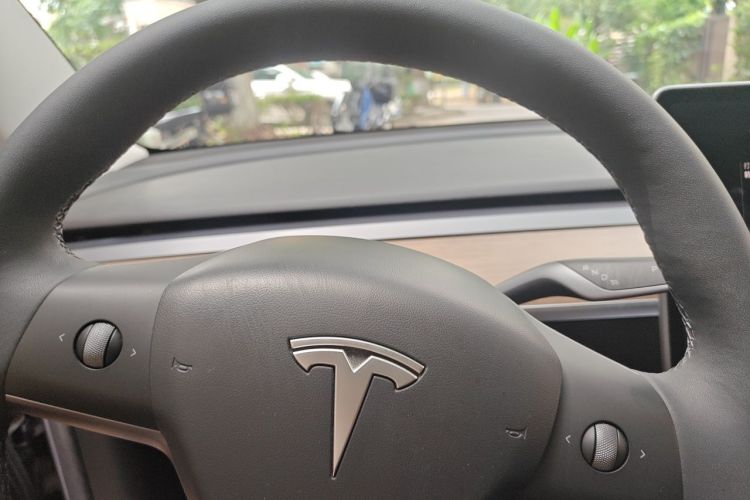 Tesla Model 3 2021 #12 Tesla Model 3 2021 car image #12