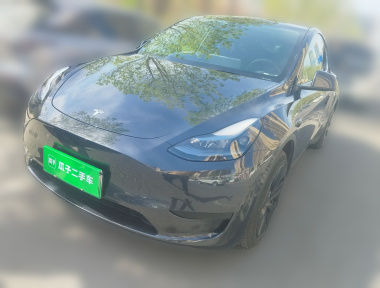 Tesla Model Y 2024 Tesla Model Y 2024 car image