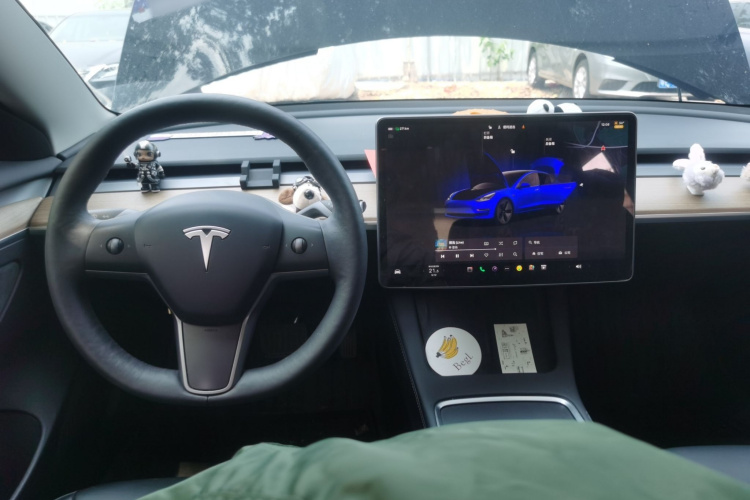 Tesla Model 3 2022 #12 Tesla Model 3 2022 immagine di auto #12