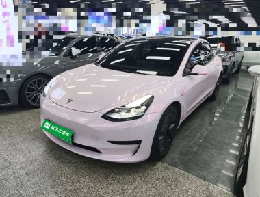 Tesla Model 3 2022 immagine di auto 