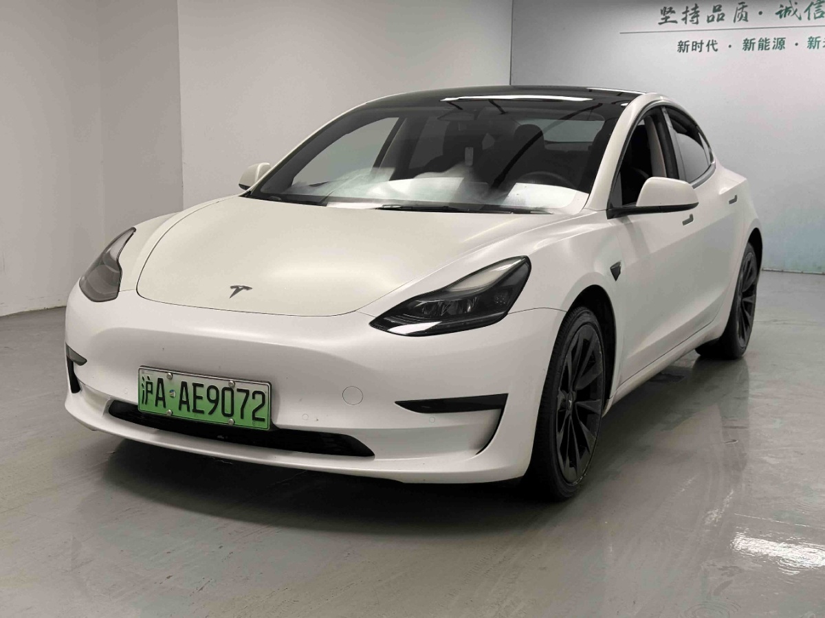 Tesla Model 3 2022 car image 