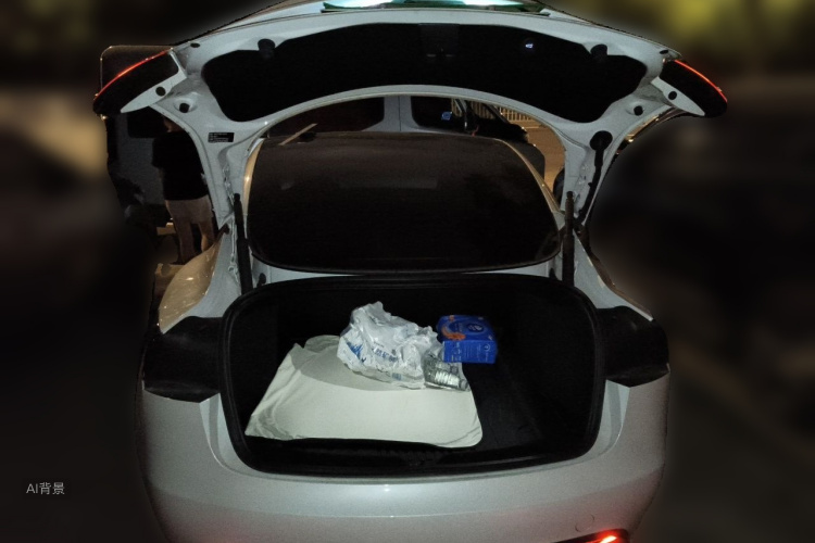Tesla Model 3 2025 #21 Tesla Model 3 2025 car image #21