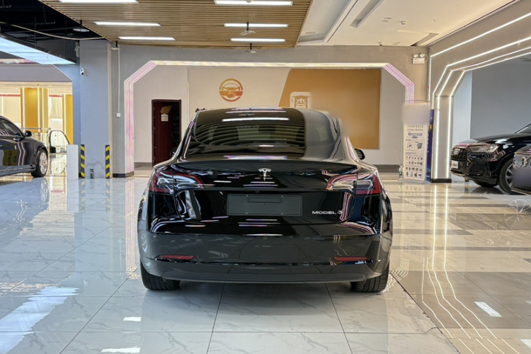 Tesla Model 3 2022 #8 Tesla Model 3 2022 car image #8