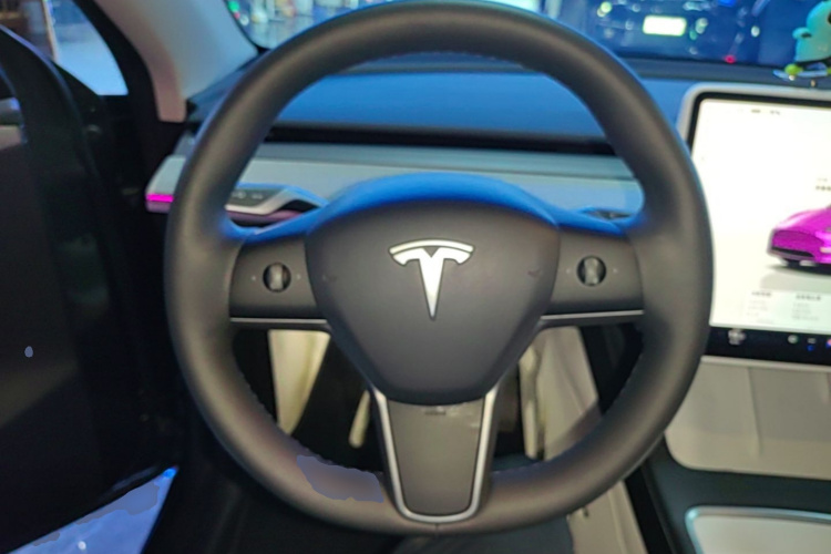 Tesla Model Y 2025 car image #11