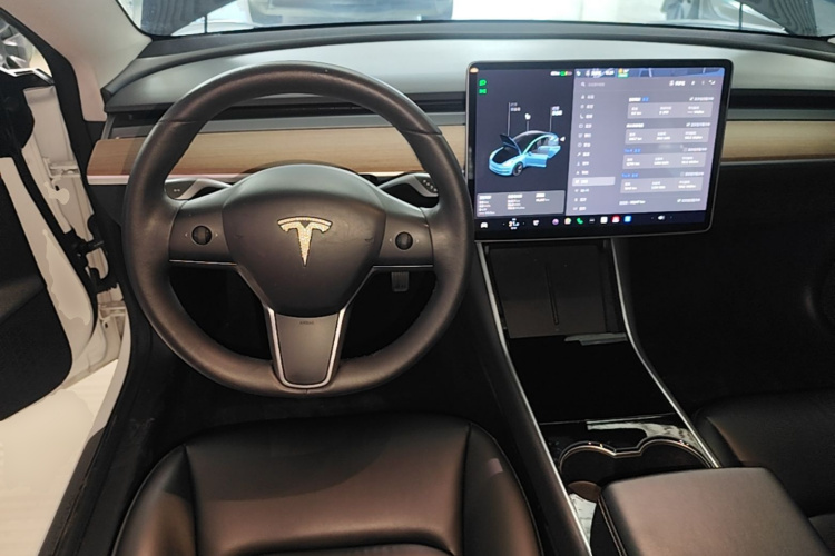 Tesla Model 3 2020 car image #11