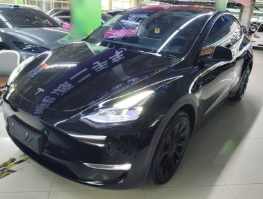 Tesla Model Y 2023 car image 