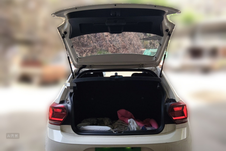 Volkswagen Polo 2022 immagine di auto #21