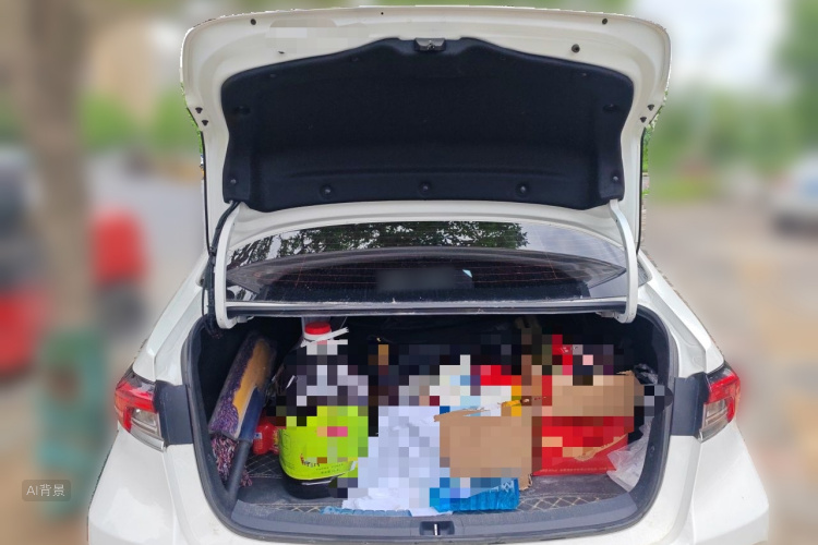 Toyota Corolla 2020 car image #21