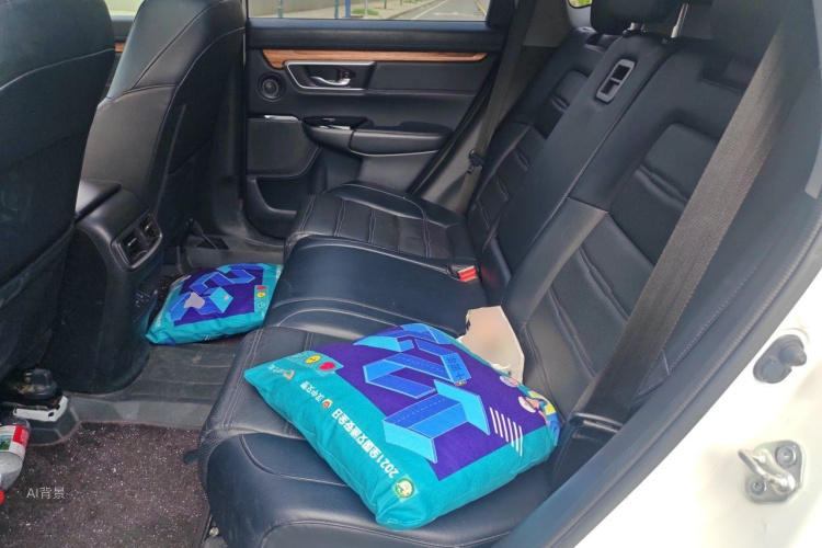 Honda CR-V 2019 car image #19
