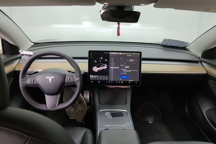 Tesla Model 3 2021 car image #11